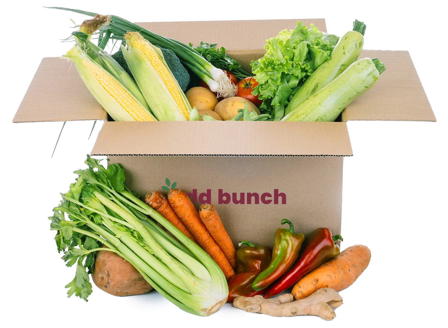 Odd Bunch Produce Boxes | Affordable, Fresh, and Delivered Weekly